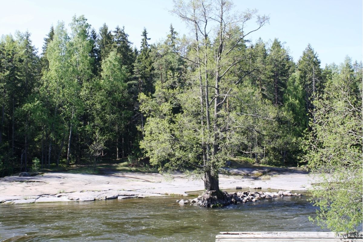 Котка+Хамина