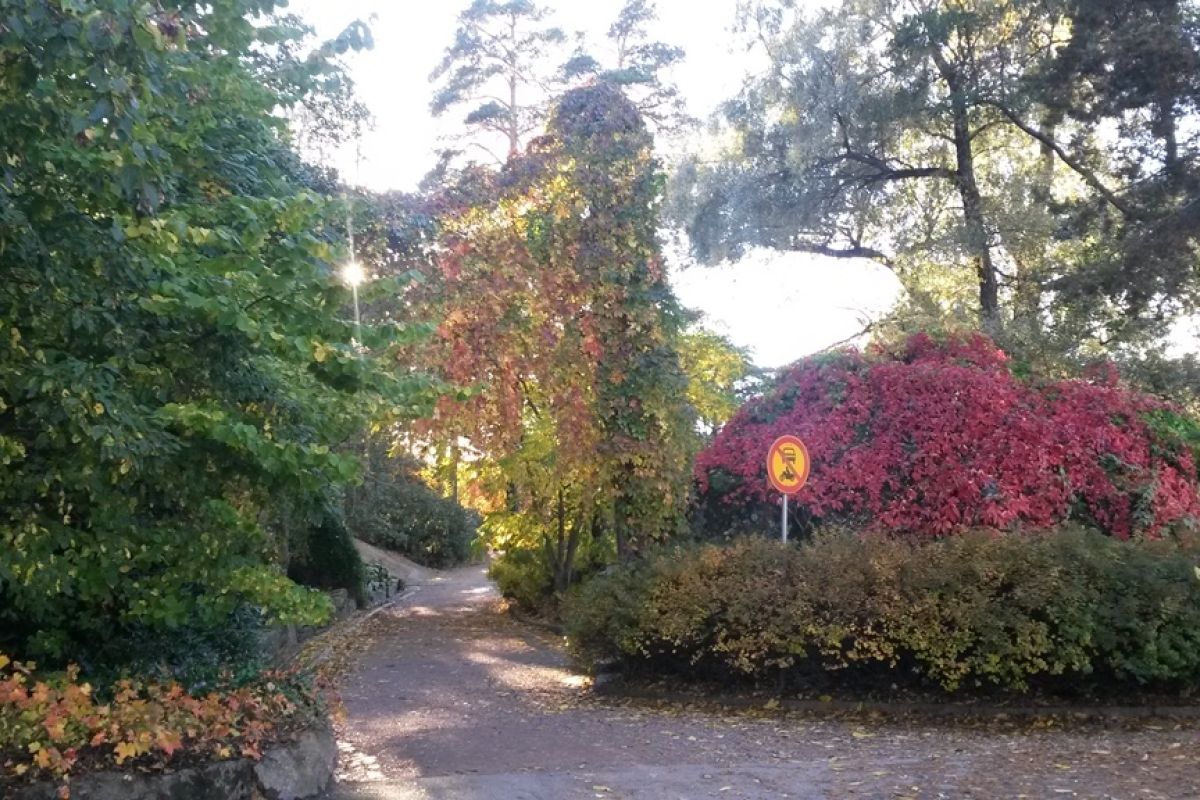 Котка+Хамина